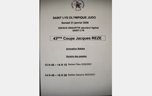 Animation baby judo de Saint-Lys