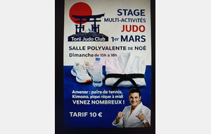 stage judo et multi-activités